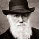 Charles darwin 1880