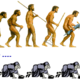 Evolution