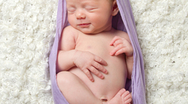 Timeline: Fetal Development Timeline