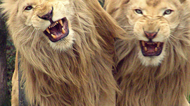 Timeline: Linea de tiempo de INTRODUCCIÓN A LA SEMIÓTICA