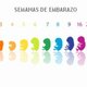 Embarazo semana a semana