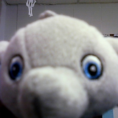 Timeline: Christian Holidays