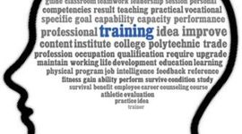 Timeline: My Corporate Training Journey