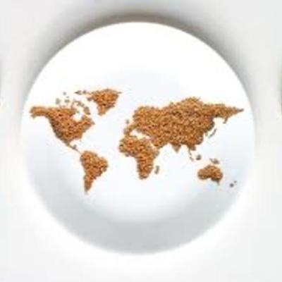 Timeline: INVESTIGACIÓN HAMBRE