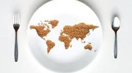 Timeline: INVESTIGACIÓN HAMBRE