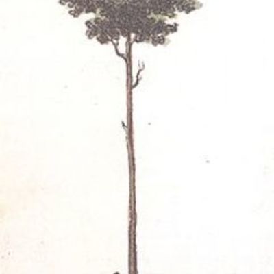 Timeline: ATLANTIC REVOLUTIONS