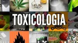 Timeline: HISTORIA DE LA TOXICOLOGIA