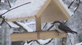 Timeline: Turismiajalugu