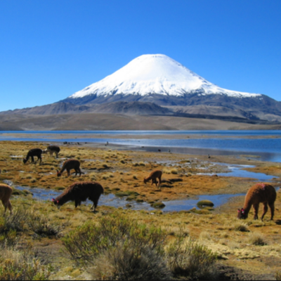 Timeline: Chilean History