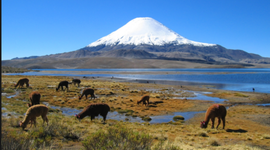 Timeline: Chilean History