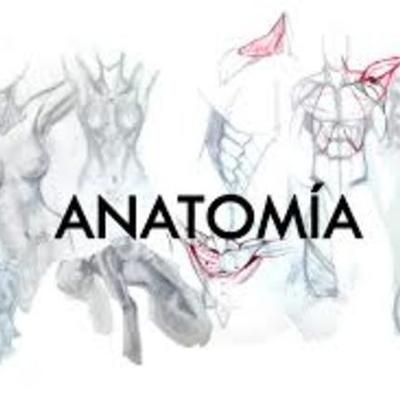 Timeline: historia de la Anatomía