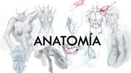 Timeline: historia de la Anatomía