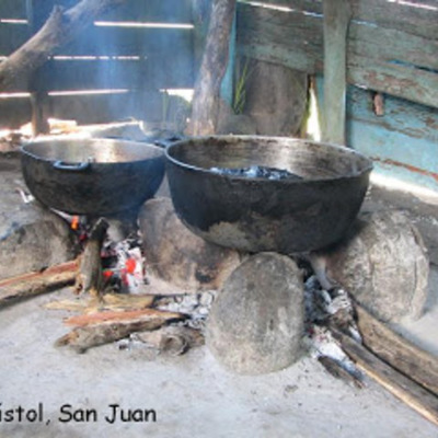 Timeline: EVOLUCION DE LA ESTUFA