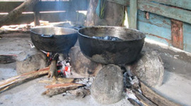 Timeline: EVOLUCION DE LA ESTUFA