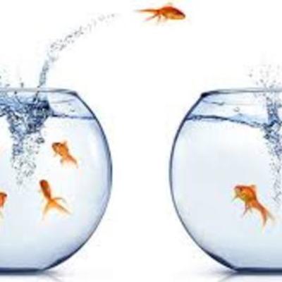 Timeline: migration timeline