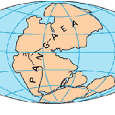 Timeline: Evolución de la vida en la Tierra.