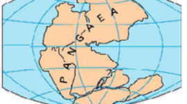 Timeline: Evolución de la vida en la Tierra.