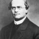 Gregor mendel 2
