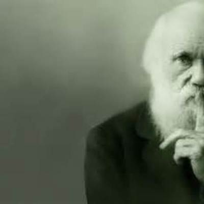 Timeline: DARWIN