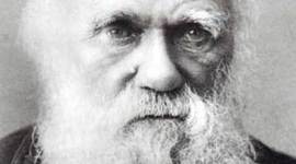 Timeline: DARWIN