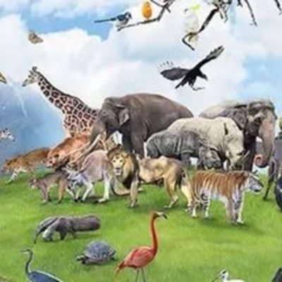 Timeline: extinct animals