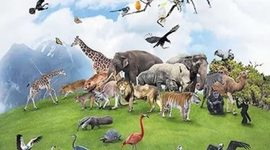 Timeline: extinct animals