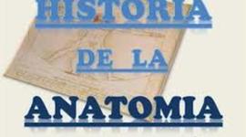 Timeline: Historia de la Anatomia