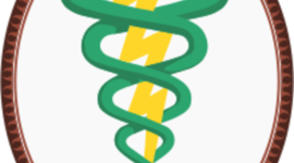 Timeline: HISTORIA DE LA FISIOTERAPIA MANUAL