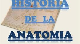 Timeline: historia de la anatomia