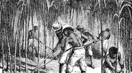 Timeline: ATLANTIC SLAVE TRADE