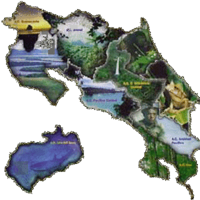 Timeline: Línea del Tiempo