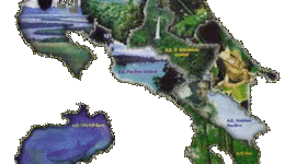 Timeline: Línea del Tiempo