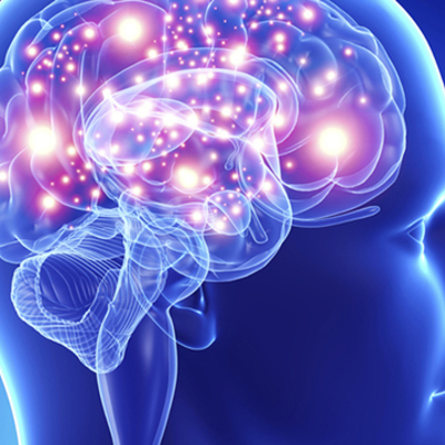 Timeline: ORÍGENES DE LAS NEUROCIENCIAS