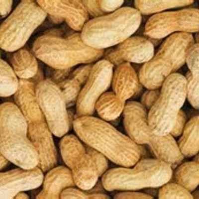 Timeline: Immune System