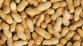 Timeline: Immune System