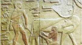 Timeline: Historia de la Medicina Veterinaria moderna ALDM