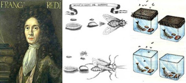 HISTORIA DE LA BIOLOGIA timeline | Timetoast timelines
