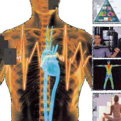 Timeline: HISTORIA DE LA EVALUACIÓN DEL RENDIMIENTO FÍSICO