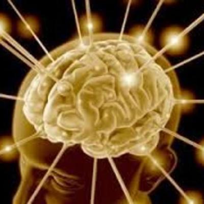 Timeline: APORTES BIOLOGICOS