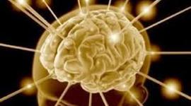 Timeline: APORTES BIOLOGICOS