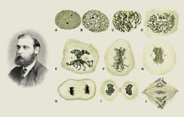 CIENTÍFICOS QUE APORTARON A LA BIOLOGÍA EN LA EDAD CONTEMPORÁNEA