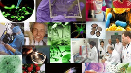 Timeline: BIOLOGIA MODERNA "La Biología Moderna confirma la Teoría de la Evolución"