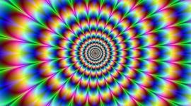 Timeline: Cassandra Harris