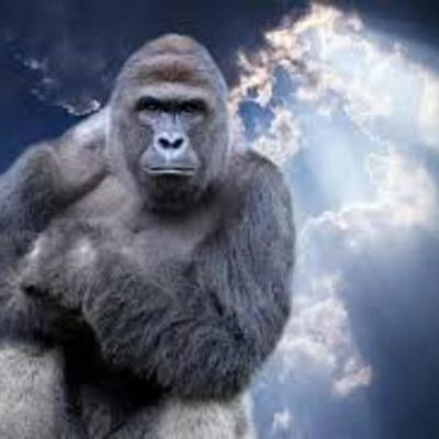 Timeline: Payton Donaldson