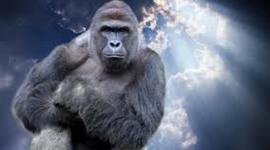 Timeline: Payton Donaldson