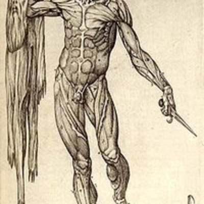 Timeline: HISTORIA DE LA ANATOMIA (Ronal Abraham Lòpez Hernàndez)