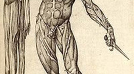 Timeline: HISTORIA DE LA ANATOMIA (Ronal Abraham Lòpez Hernàndez)