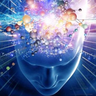 Timeline: La Evolución del Sistema Nervioso