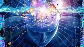 Timeline: La Evolución del Sistema Nervioso