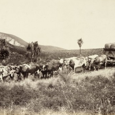 Timeline: History of Canterbury